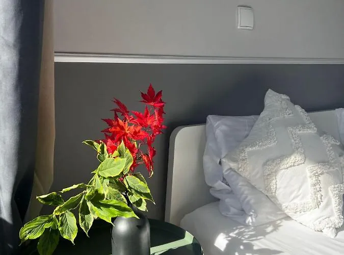 Invest Perla D6 斯克拉斯卡波伦巴